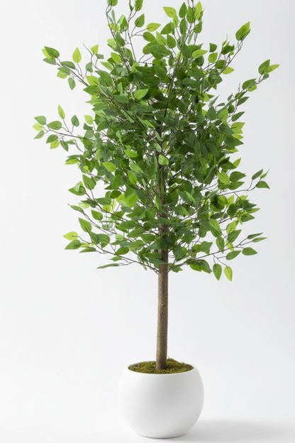 Yapay Benjamin Ağacı