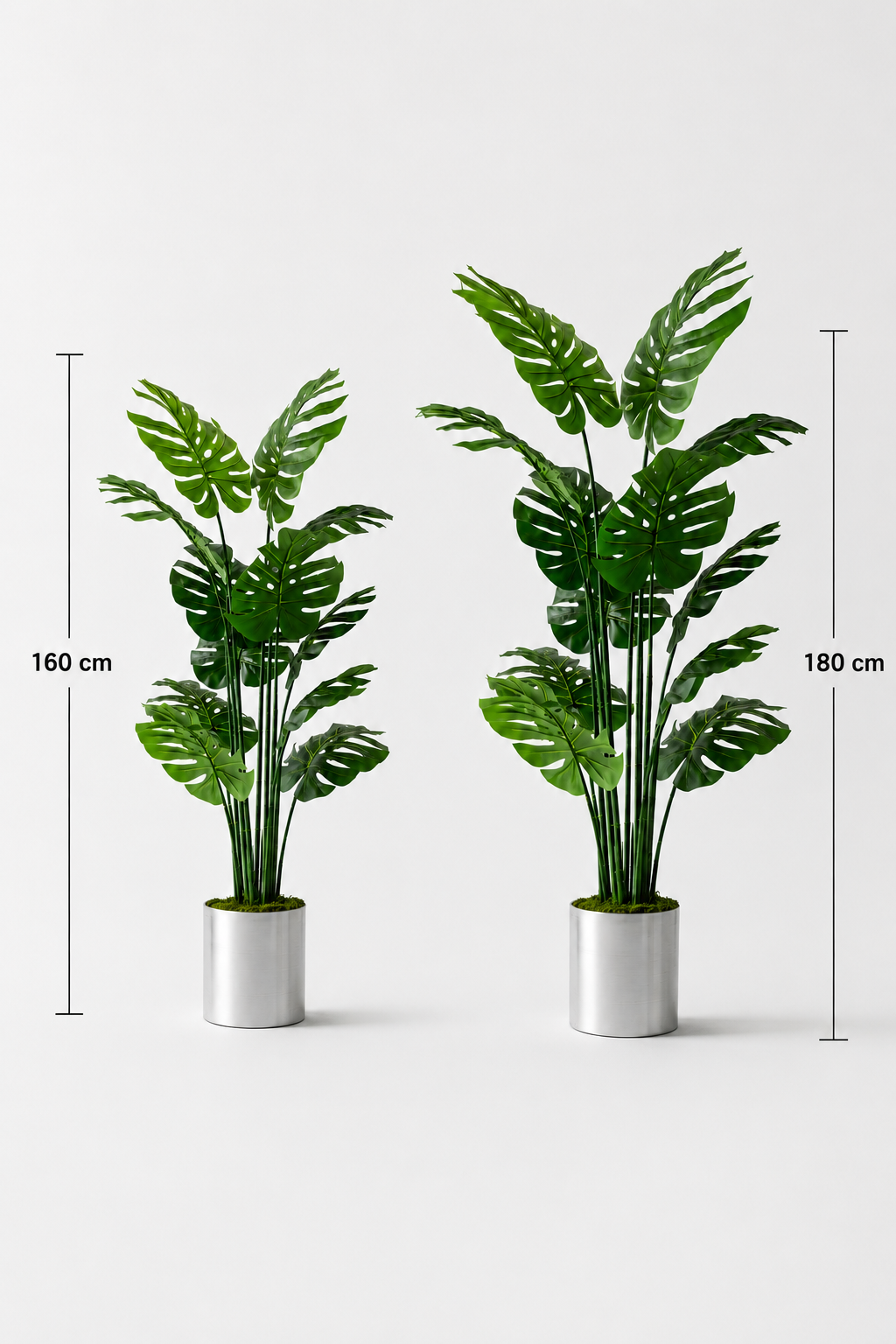 Yapay Deve Tabanı(Monstera) Ağacı