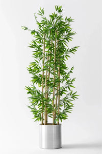 Yapay Bambu Ağacı 185 Cm