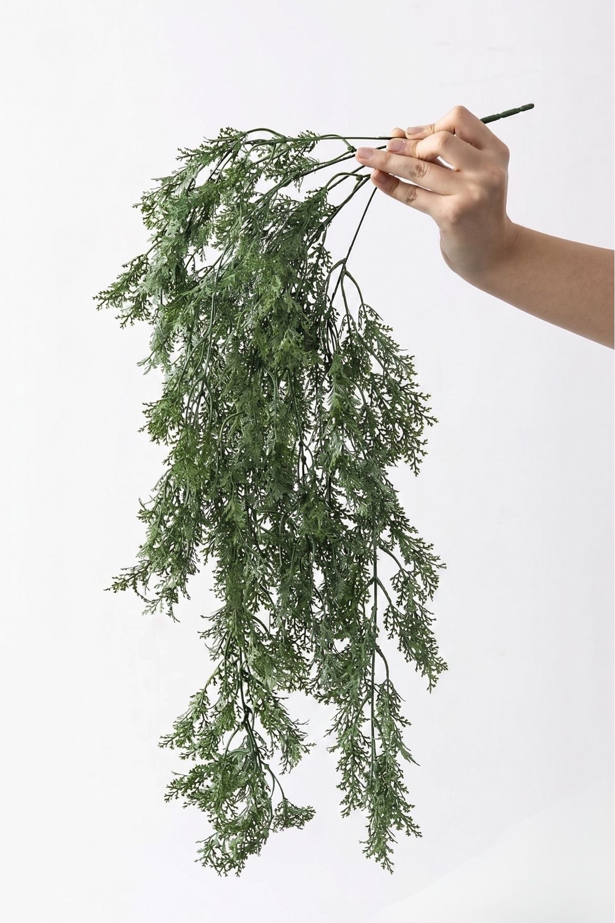 Yapay Sarmaşık Kuşkonmaz (Uv) Korumalı Açık Yeşil 75 Cm 5 Dal (Uv)