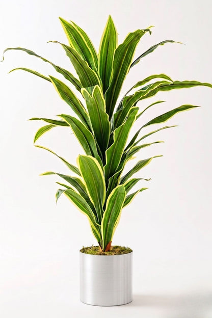 Yapay Dracena Gümüş 