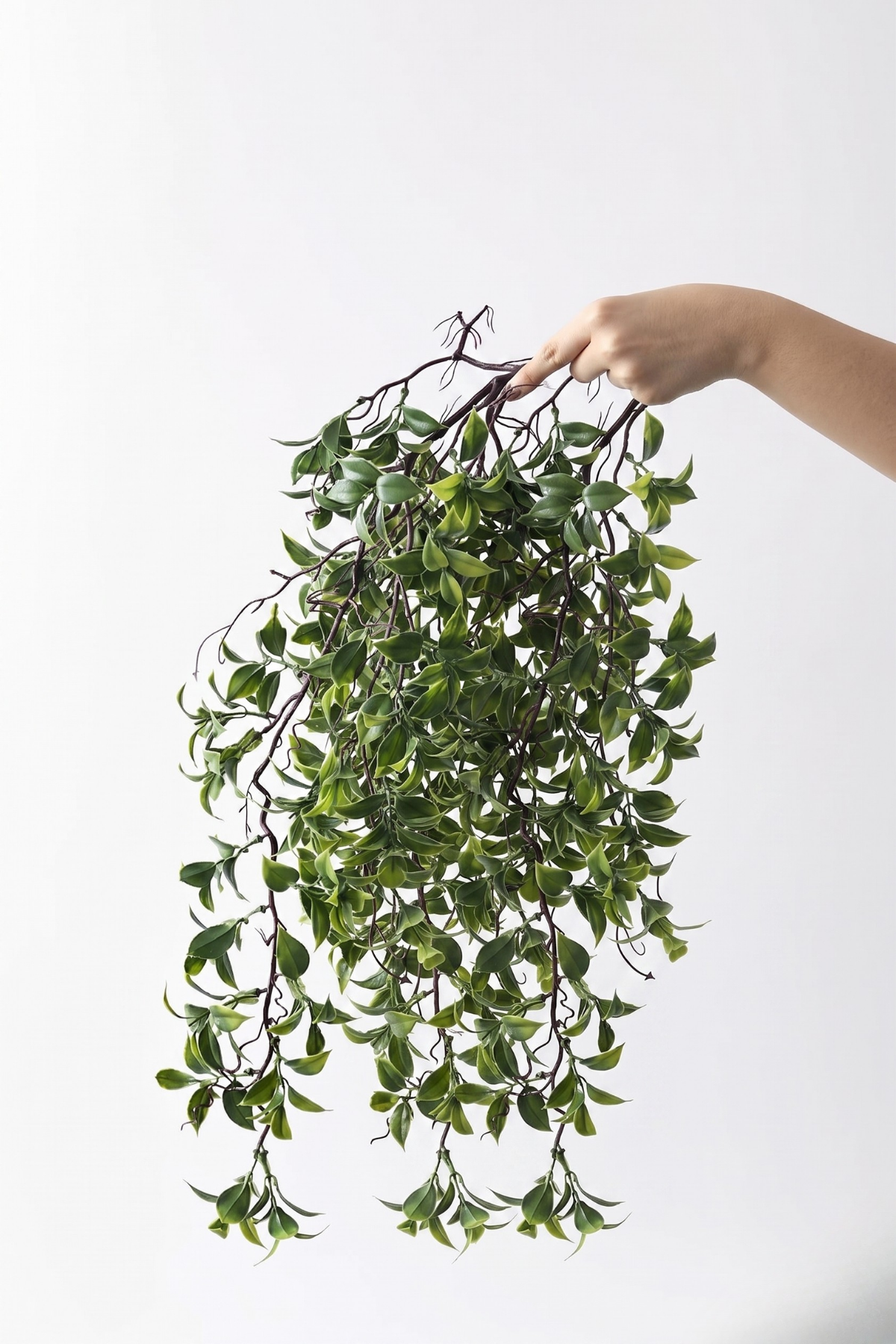 Yapay Sarmaşık Çay (Uv) Korumalı Yeşil 75 Cm 5 Dal (Uv)