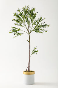 Yapay Zeytin Ağacı 160 Cm Beyaz Gold Metal Saksı