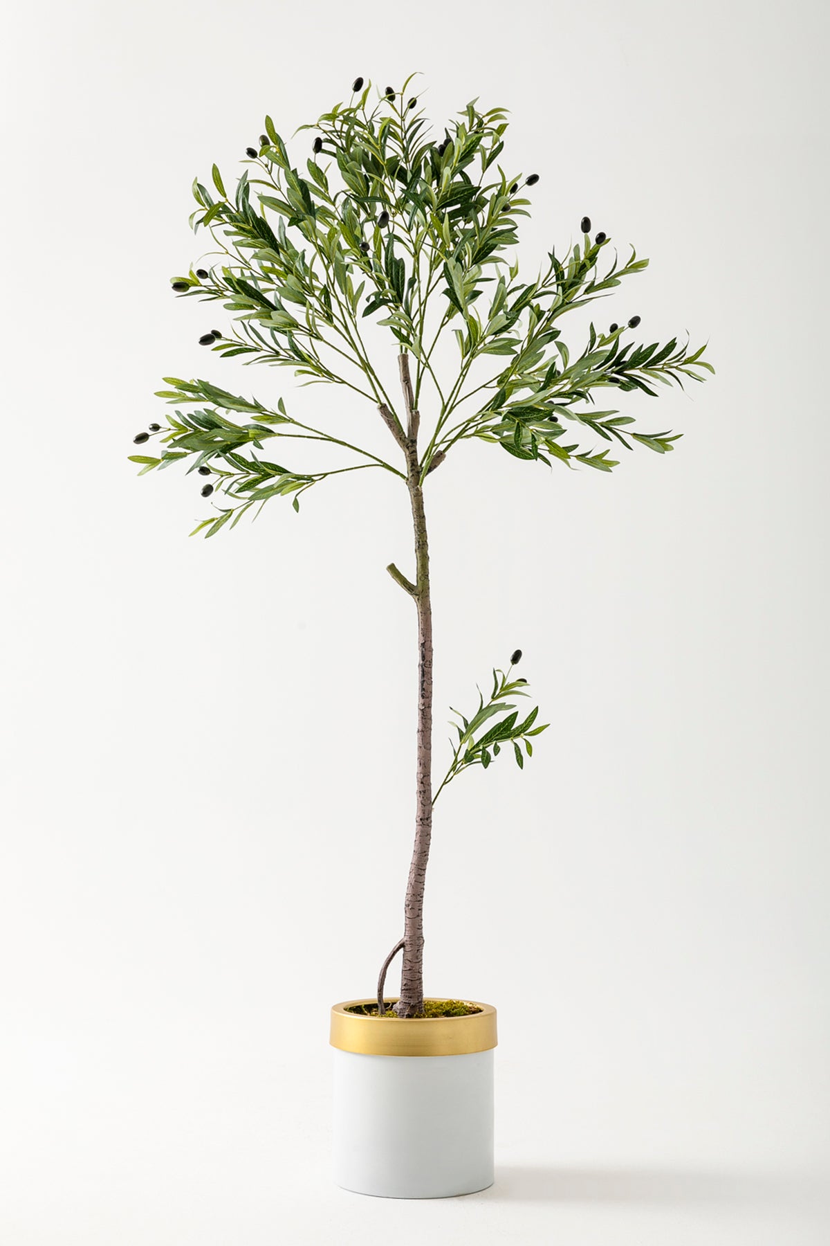 Yapay Zeytin Ağacı 160 Cm Beyaz Gold Metal Saksı