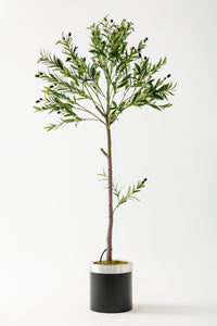 Yapay Zeytin Ağacı 160 Cm Siyah Gümüş Metal Saksı