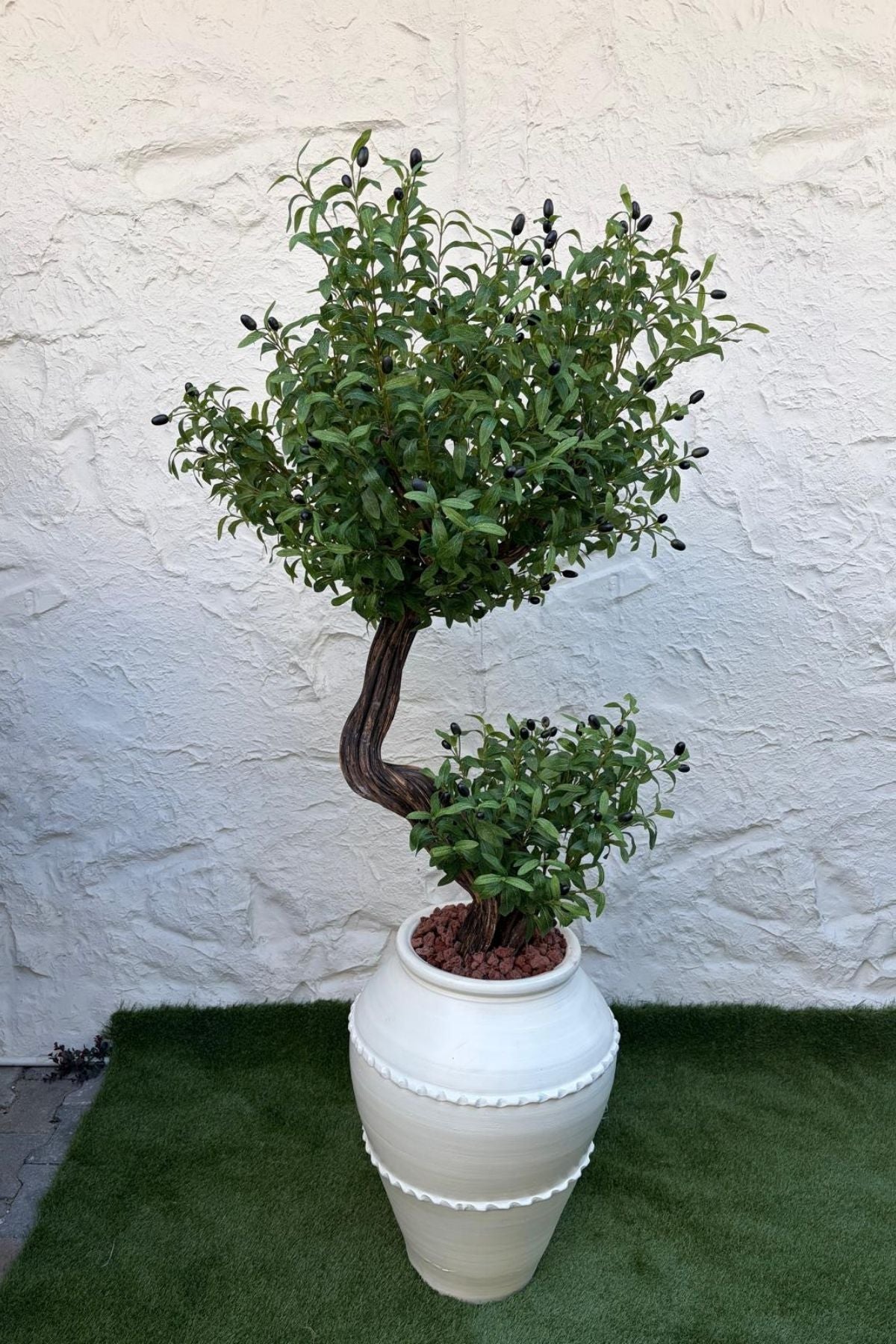 Premium Zeytin Ağacı 200 cm