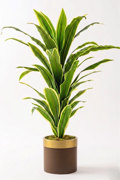 Yapay Dracena Kahverengi 
