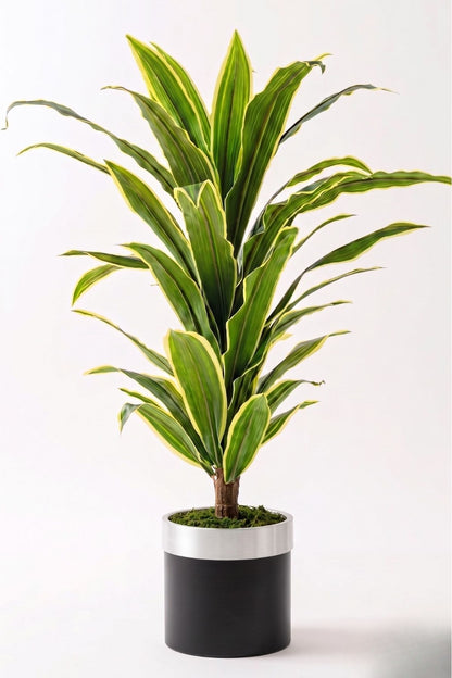 Yapay Dracena Siyah 