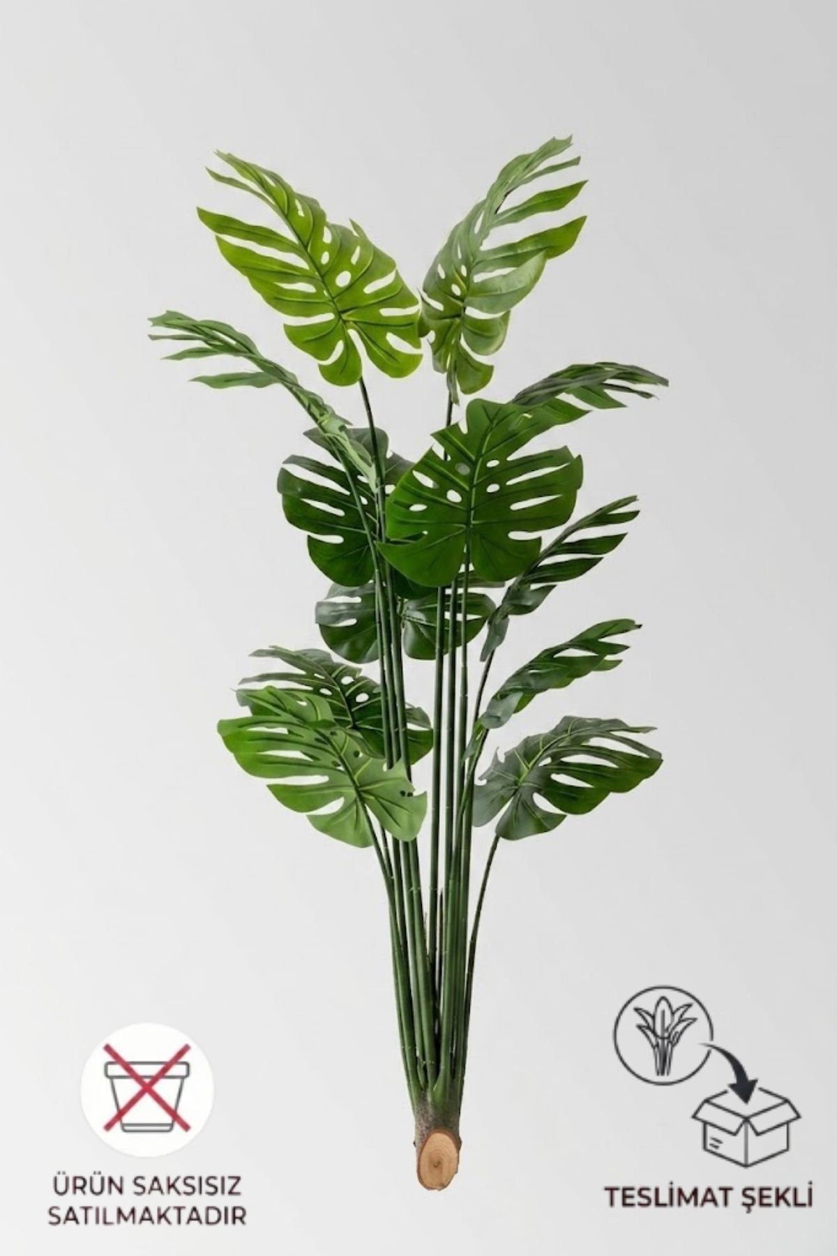 Yapay Deve Tabanı(Monstera) Ağacı 180 cm Saksısız