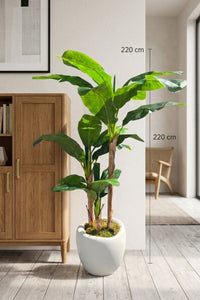 Yapay Muz Ağacı Dinazor Saksı 220 cm