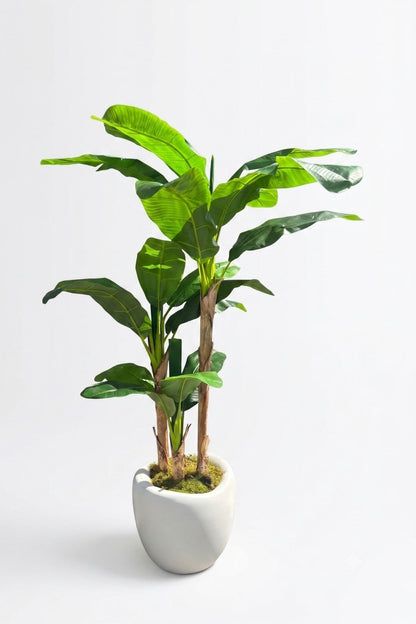 Yapay Muz Ağacı Dinazor Saksı 220 cm