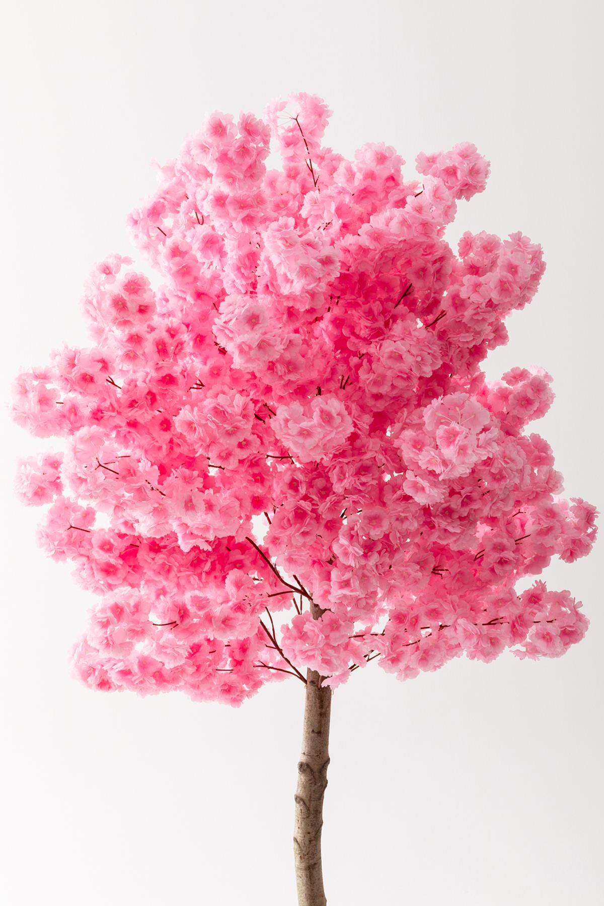 Pembe Yapay Ağaç Bahardalı 200 cm