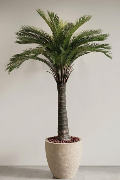 Premium Yapay Cikas Palma Ağacı 220 cm 32 dal (uv)