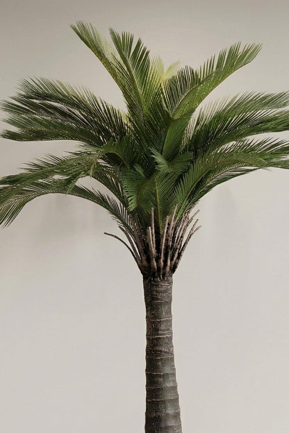 Premium Yapay Cikas Palma Ağacı 220 cm 32 dal (uv)