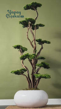 Yapay Lüx Bonsai Ağacı 200 cm 40 Dal