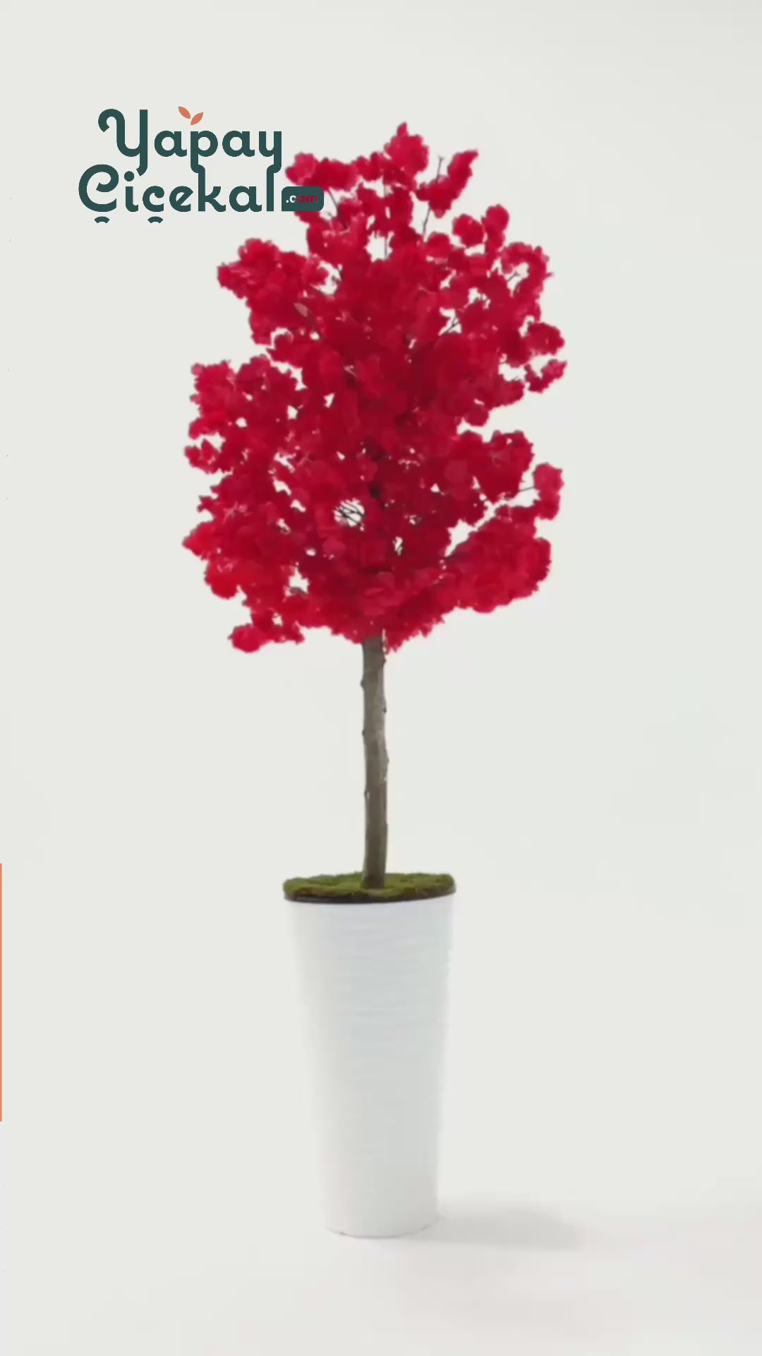 Yapay Ağaç Kırmızı Bahar Dalı 180 Cm Konik Saksı