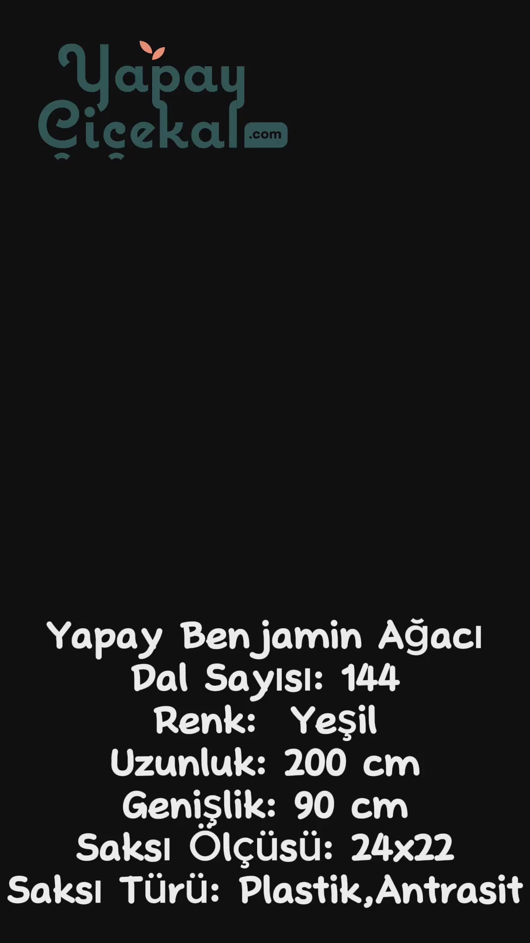 Yapay Ağaç 200 cm Benjamin 144 dal (Yoğun)
