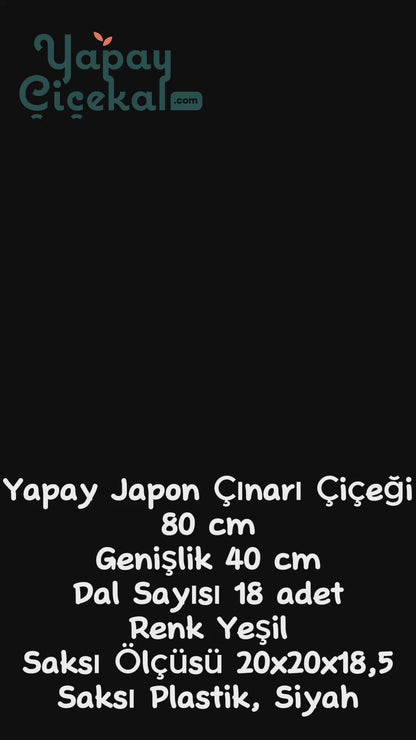 Yapay Salon Köşe Çiçeği Japon Çınar 80 Cm