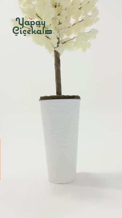 Yapay Ağaç Beyaz Bahar Dalı 180 Cm Konik Saksı