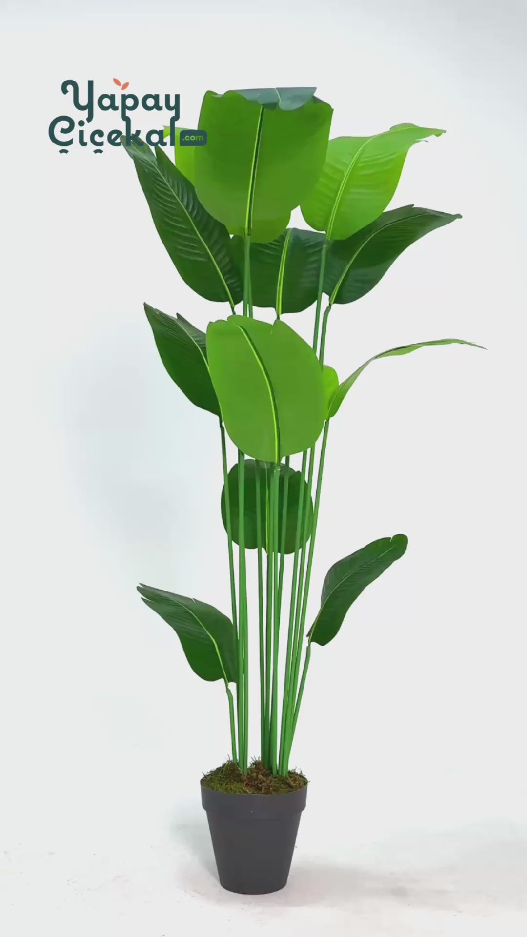 Yapay Starliçe Ağacı 190 Cm 13 Dal