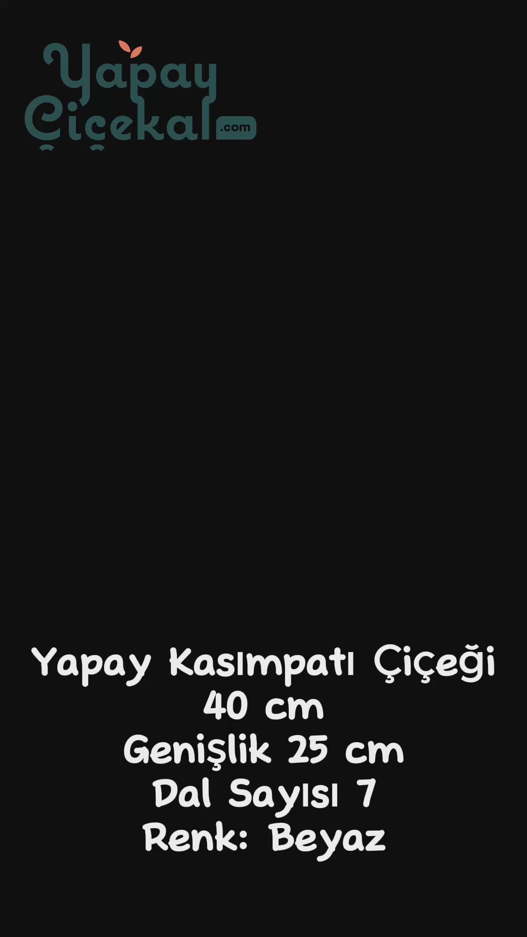 Yapay Kasımpatı Çiçeği Beyaz 40 Cm 5 Dal