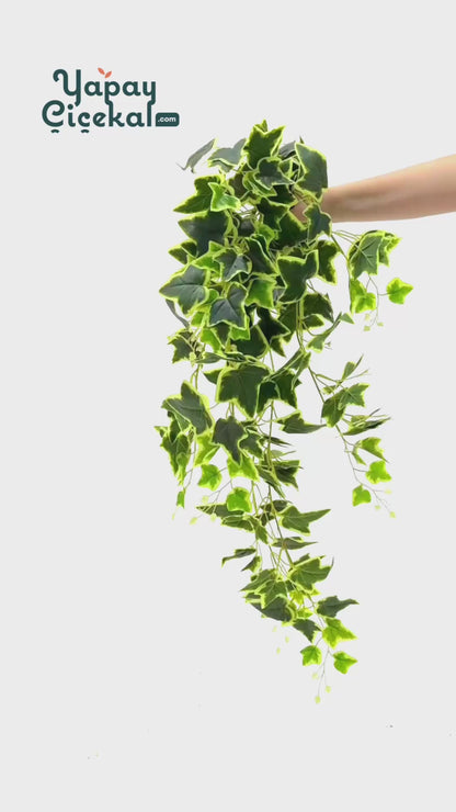 Yapay Hedera Sarmaşık 100 Cm 9 Dal Yeşil Sarı