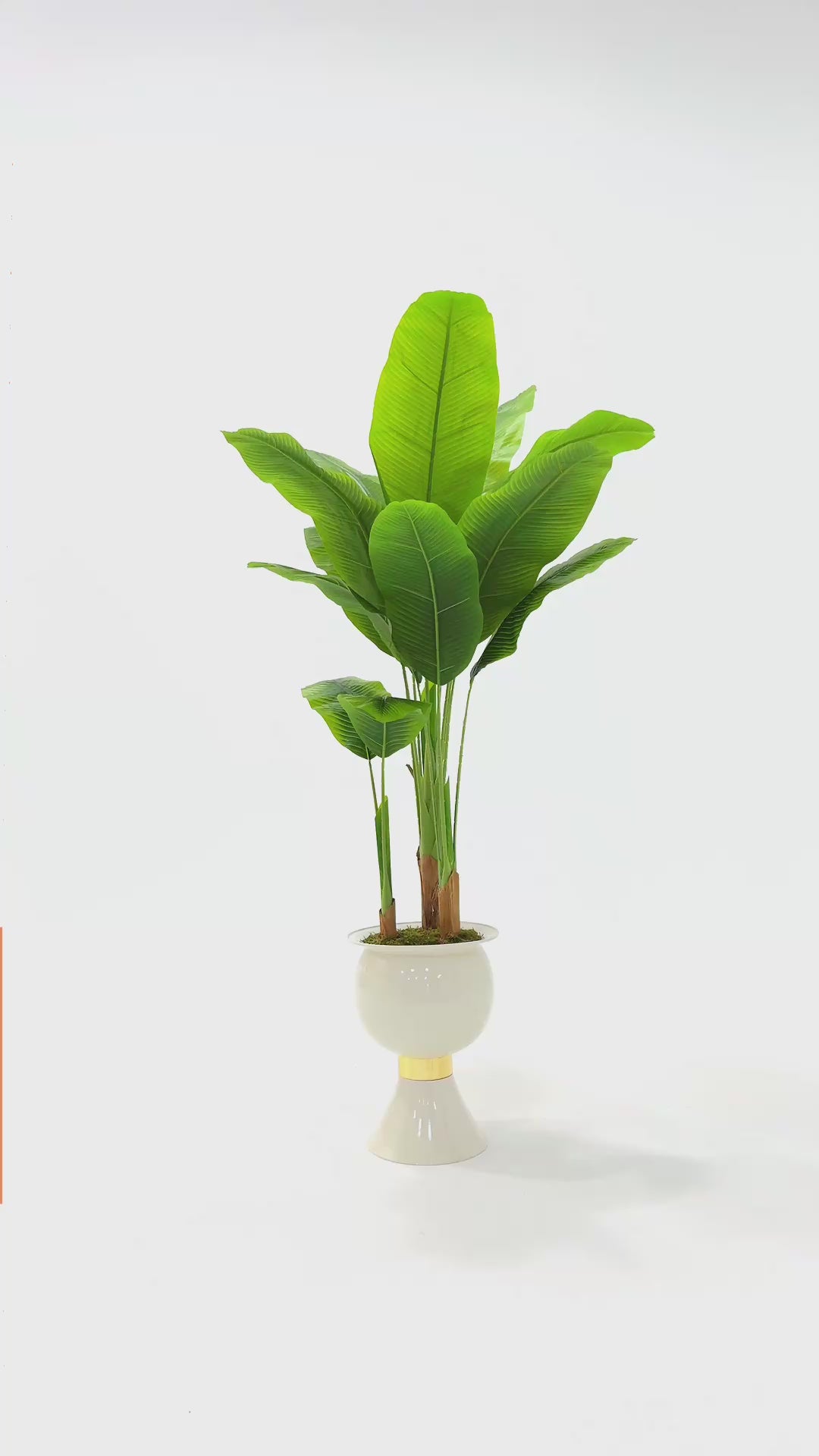 Yapay Muz Ağacı 180 Cm 13 Yaprak Beyaz Balon Saksı