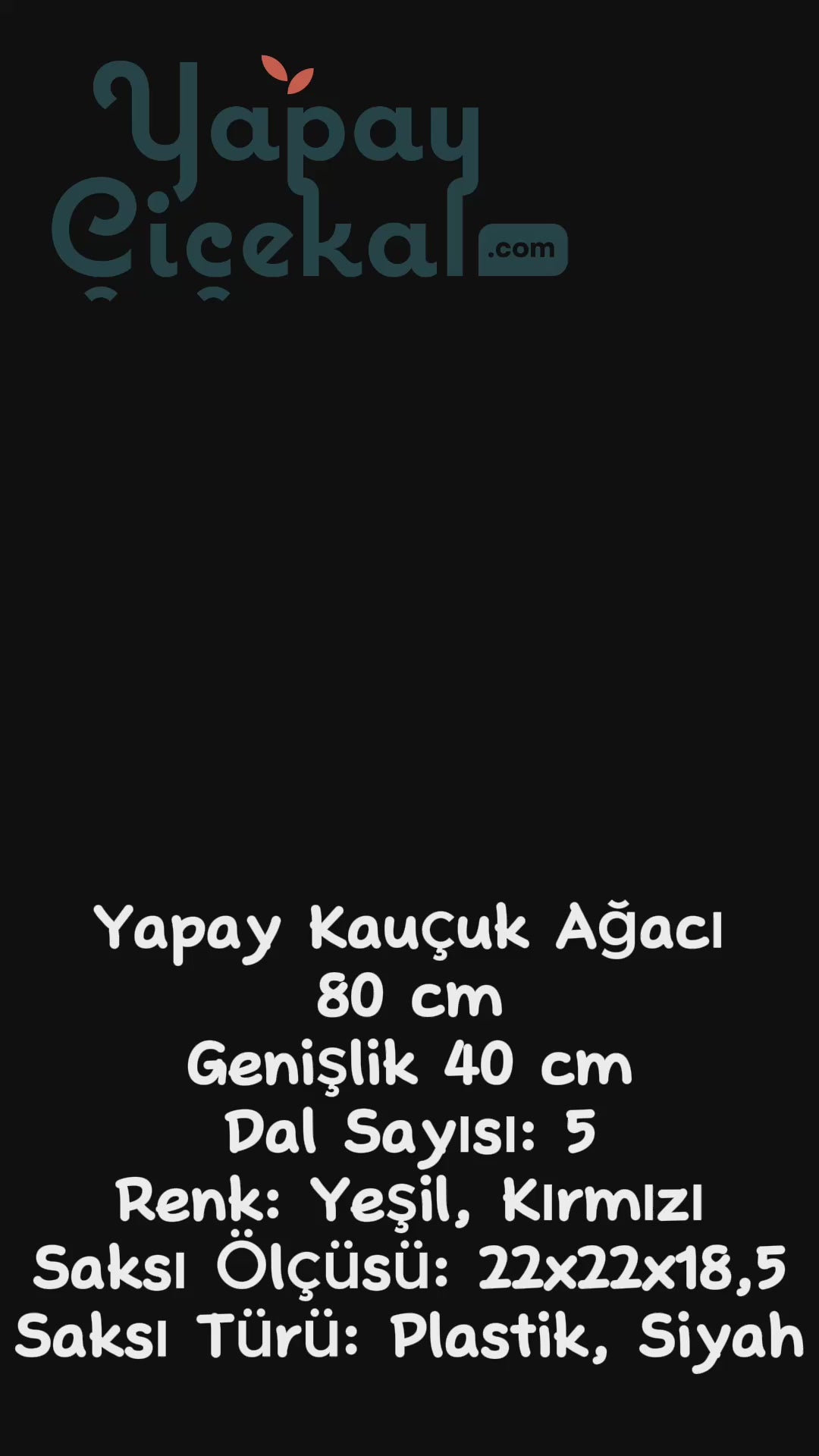 Yapay Kauçuk Ağacı Kırmızı 80 Cm
