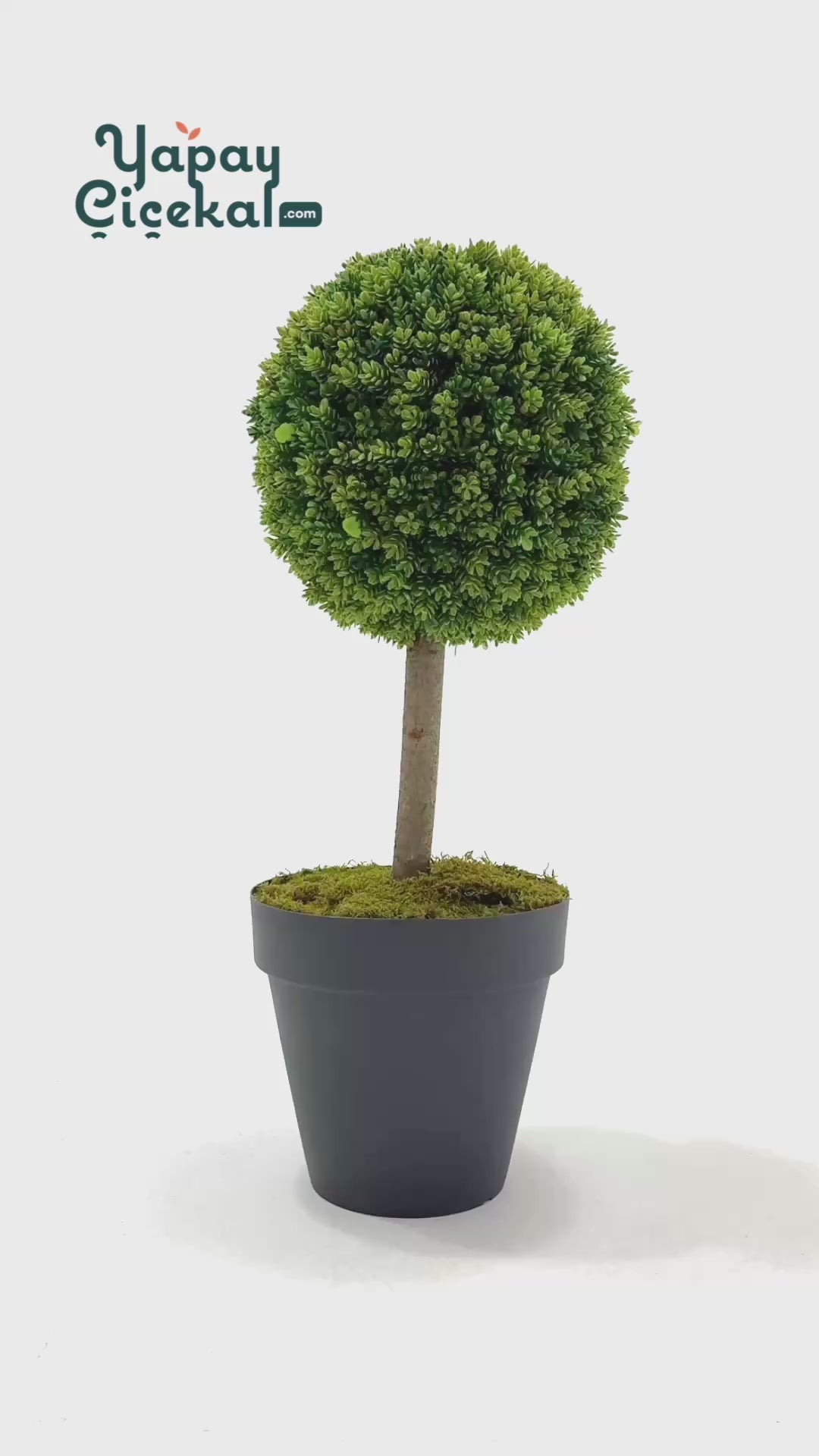 Yapay Top Çamdalı Ağacı Tekli 70 Cm(Uv)