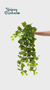 Yapay Hedera Sarmaşık 100 Cm 9 Dal Alacalı Yeşil