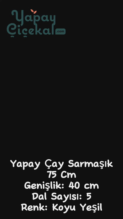 Yapay Sarmaşık Çay Uv Korumalı Koyu Yeşil 75 Cm 5 Dal