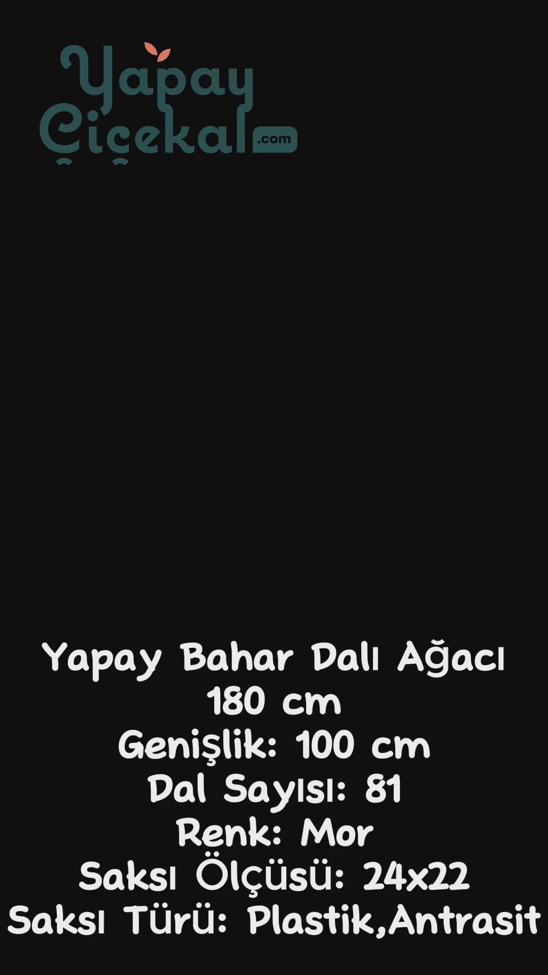 Yapay Bahar Dalı Ağacı Mor 180 Cm 81 Dal