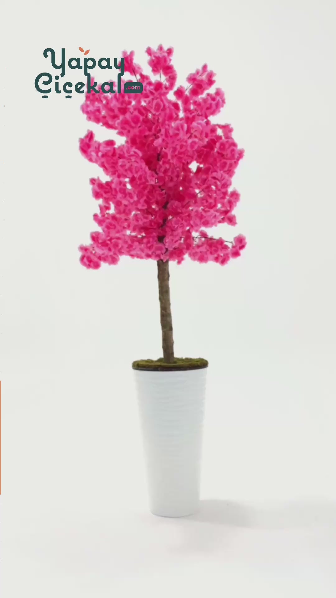 Yapay Ağaç Pembe Bahar Dalı 180 Cm Beyaz Konik Saksı