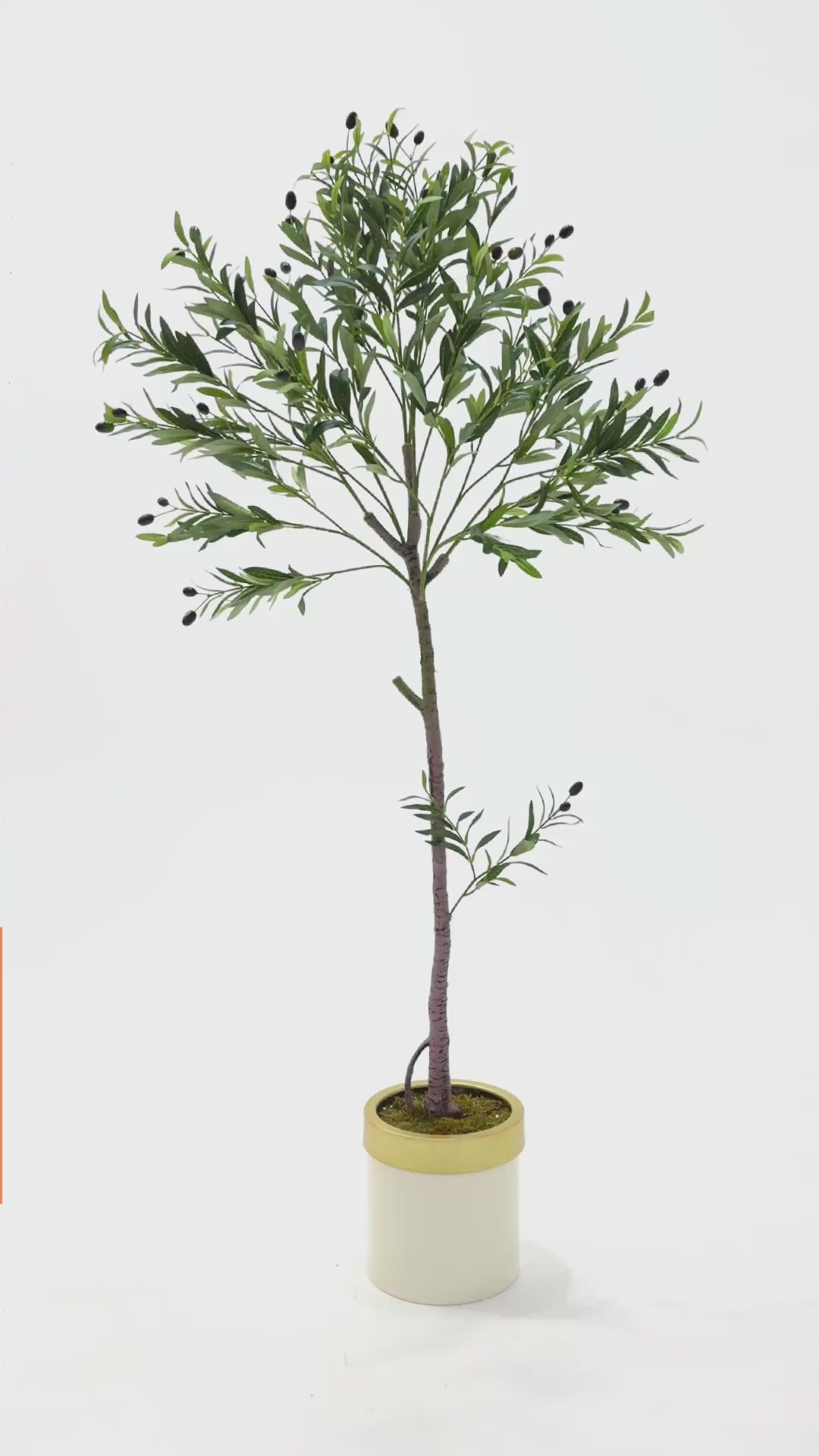 Yapay Zeytin Ağacı 160 Cm Krem Gold Metal Saksı