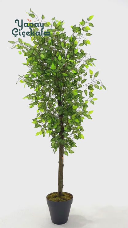 Yapay Benjamin Ağacı 180 Cm 108 Dal Açık Yeşil