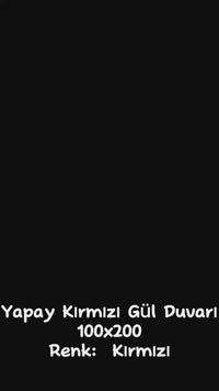Yapay Kırmızı Gül Duvarı 200X100