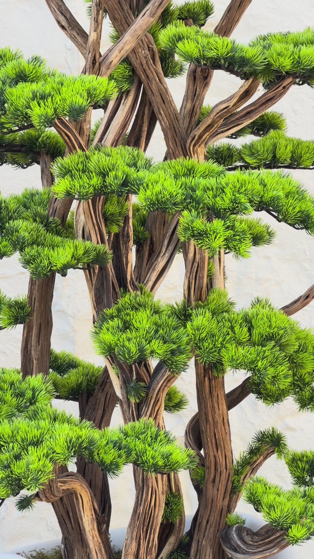 Yapay Lüx Bonsai Ağacı 200 cm 80 Dal Beyaz Fiber Saksı