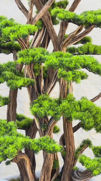 Yapay Lüx Bonsai Ağacı 200 cm 80 Dal Beyaz Fiber Saksı