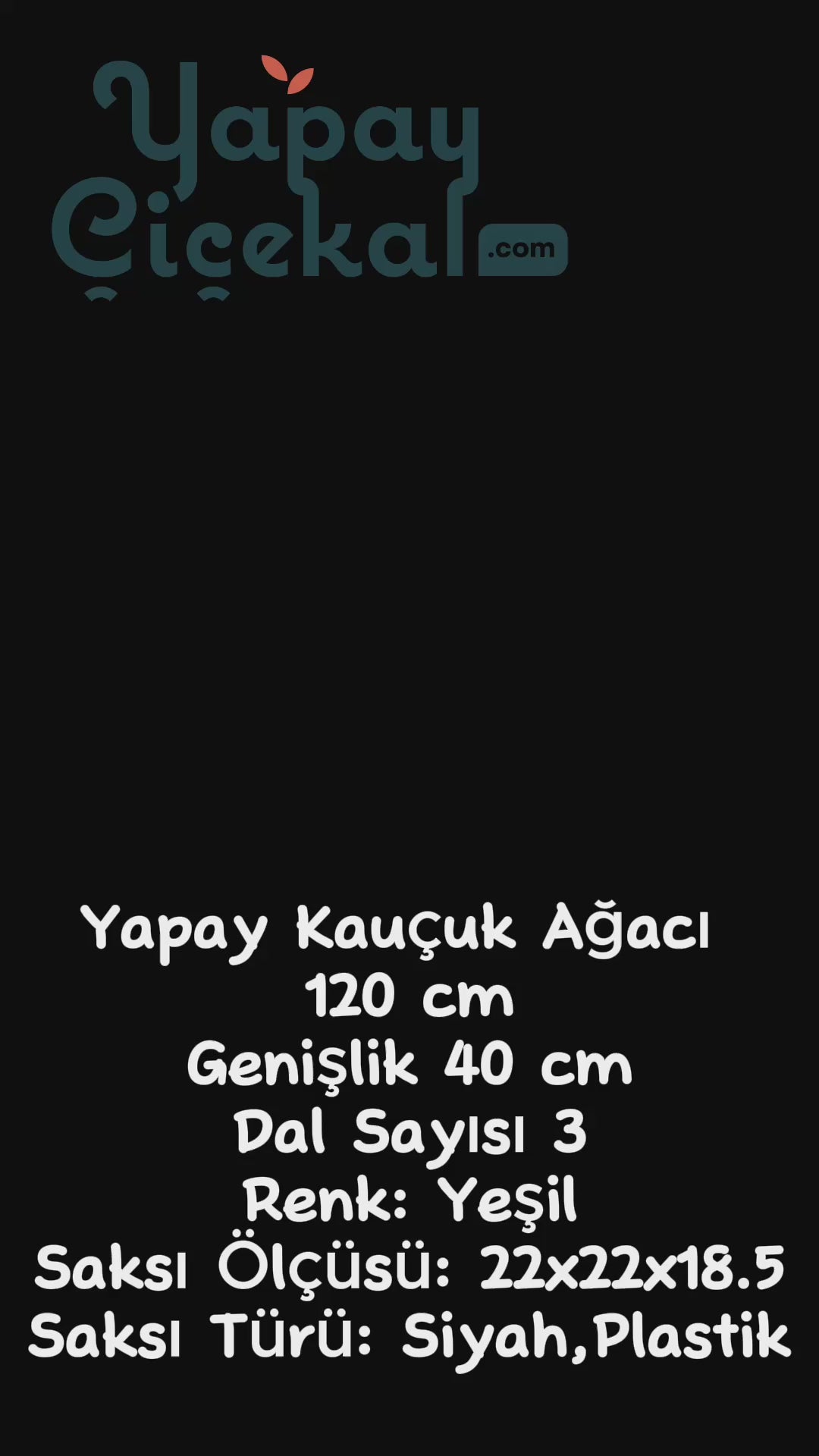 Yapay Kauçuk Ağacı 120 Cm