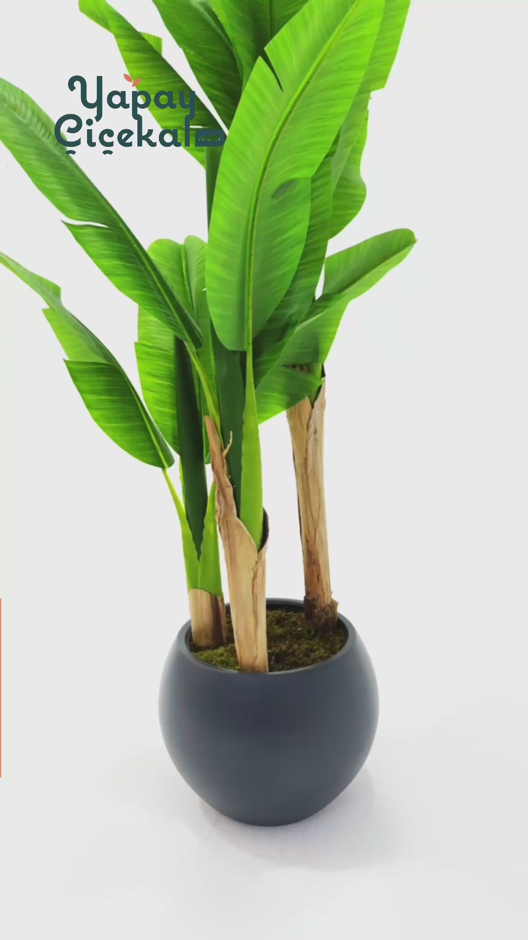 Yapay Muz Ağacı 160 Cm Küre Plastik Saksı