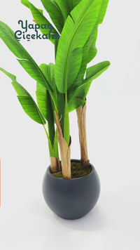 Yapay Muz Ağacı 160 Cm Küre Plastik Saksı