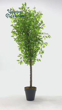 Yapay Benjamin Ağacı 180 Cm 108 Dal Yeşil Sarı