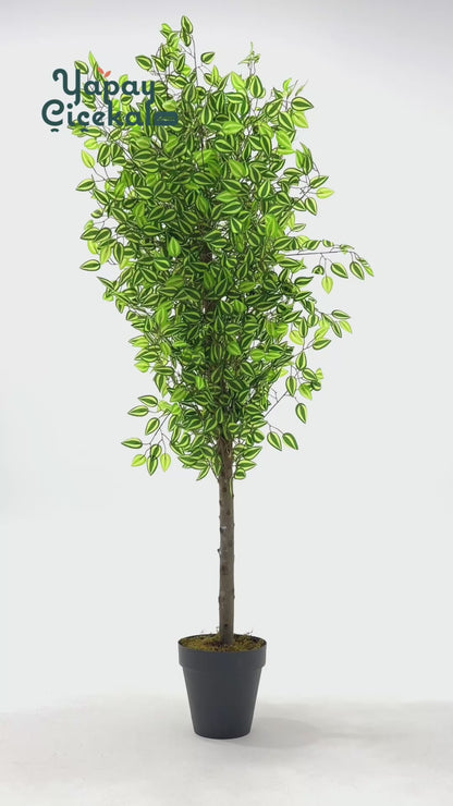 Yapay Benjamin Ağacı 180 Cm 108 Dal Yeşil Sarı