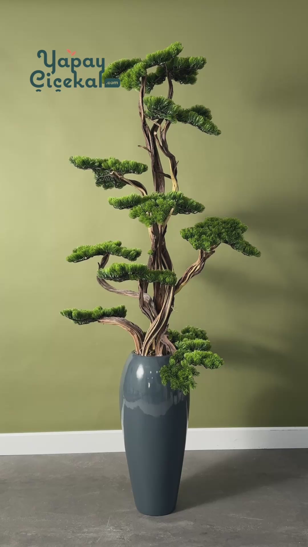 Yapay Lüx Bonsai Ağacı 200 cm 40 Dal