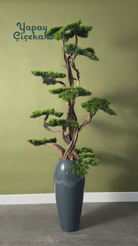 Yapay Lüx Bonsai Ağacı 200 cm 40 Dal