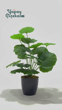 Salon Köşe Yapay Çiçekleri Bodur Bitki