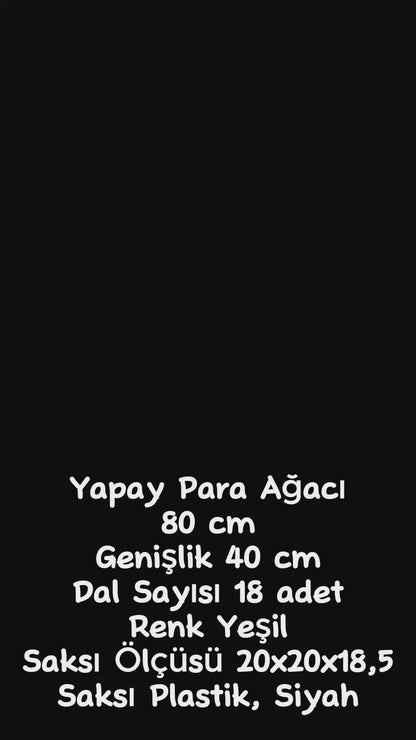 Salon Köşe Çiçeği Yapay Para Ağacı 80 Cm