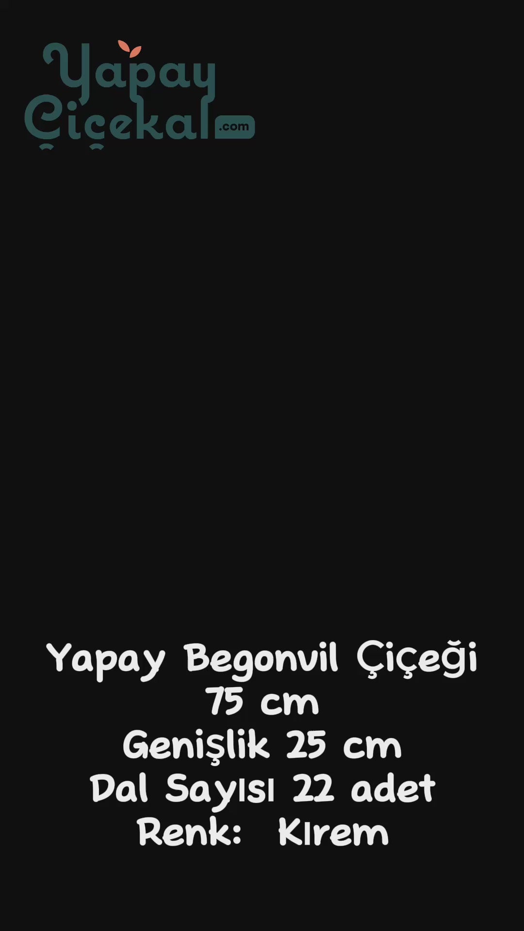 Yapay Begonvil Çiçeği 75 cm Beyaz 22 Dal