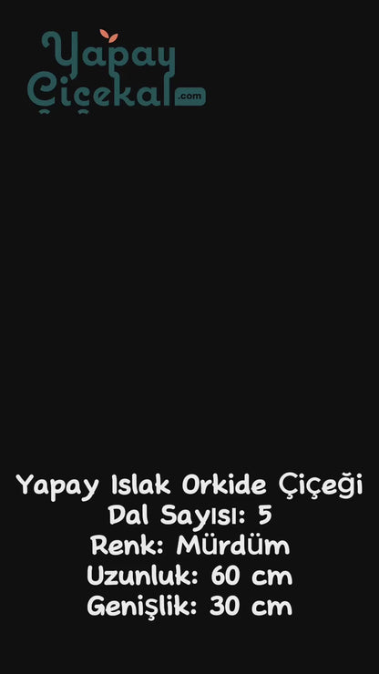 Yapay Islak Orkide Çiçeği Mürdüm 5 Dal