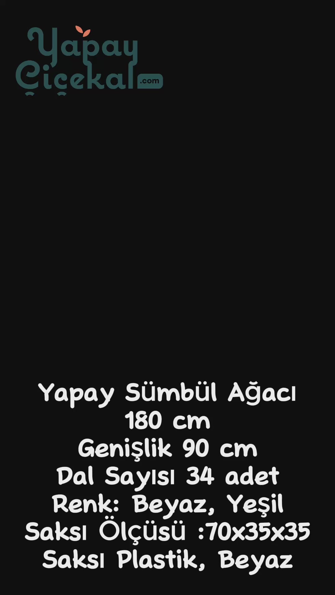 Yapay Sümbül Ağacı 180 Cm Krem